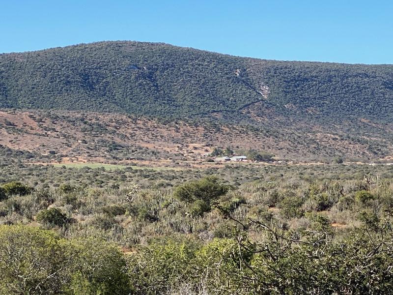 0 Bedroom Property for Sale in Kirkwood Eastern Cape